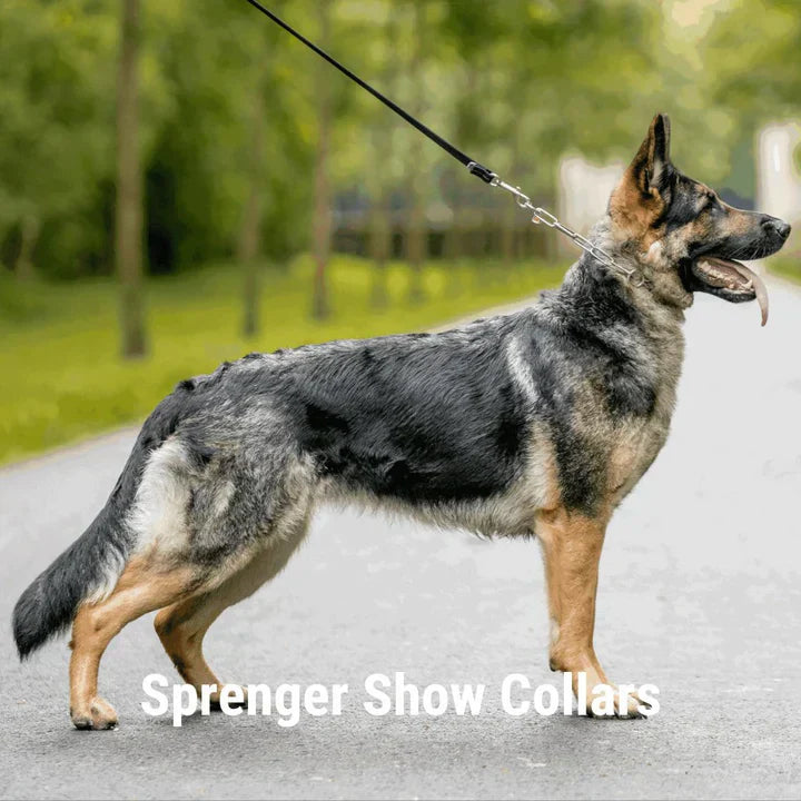 Dog Show Collars