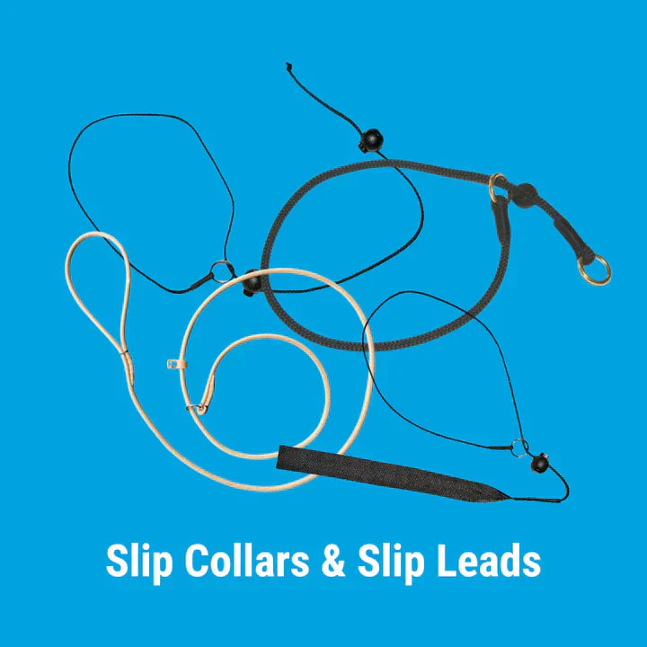 Slip Collars and Leads