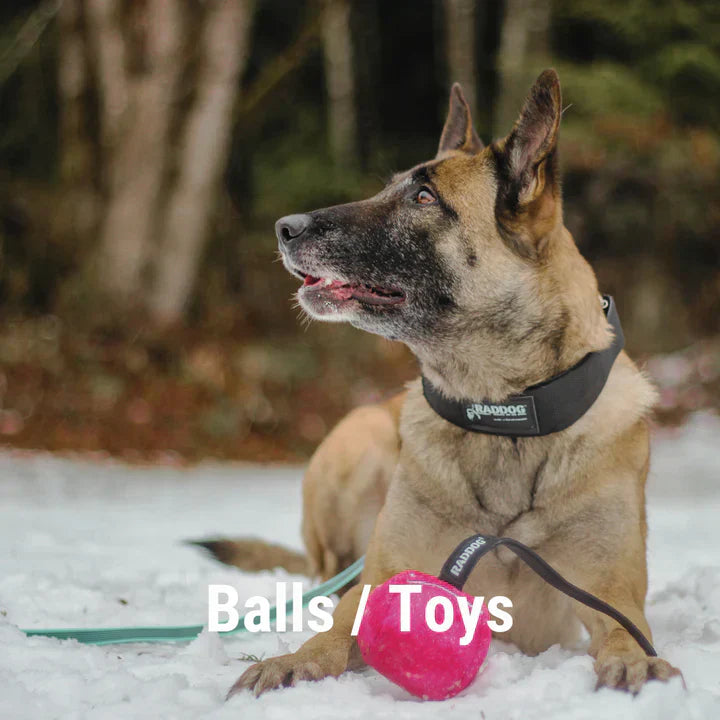 Balls and Toys