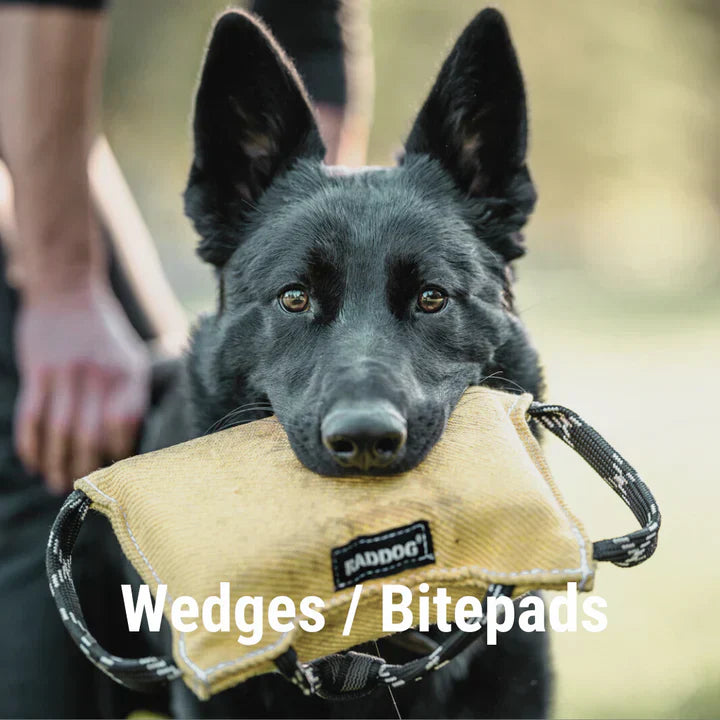 Wedge and Bite Pad