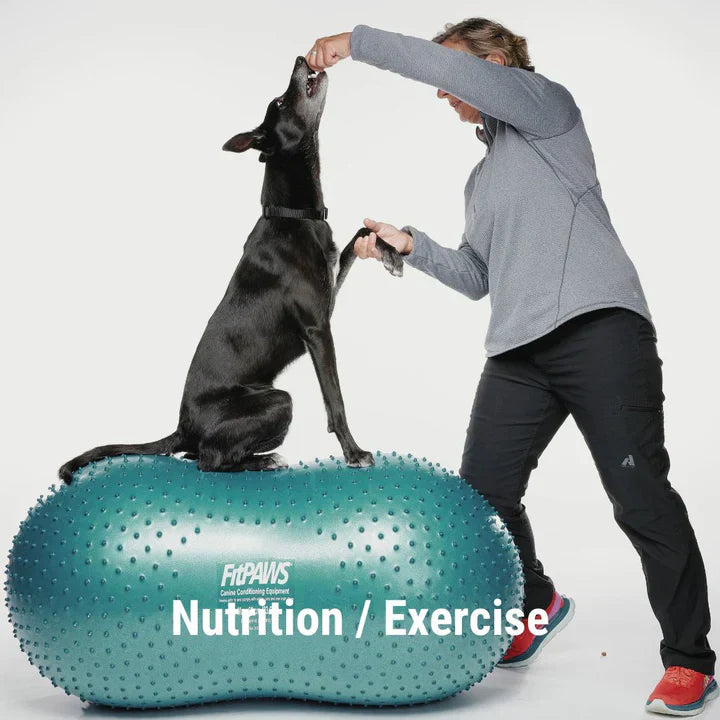 Nutrition and Exercise Products for Dogs