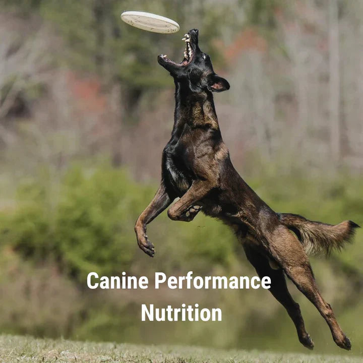 Canine Performance Nutrition