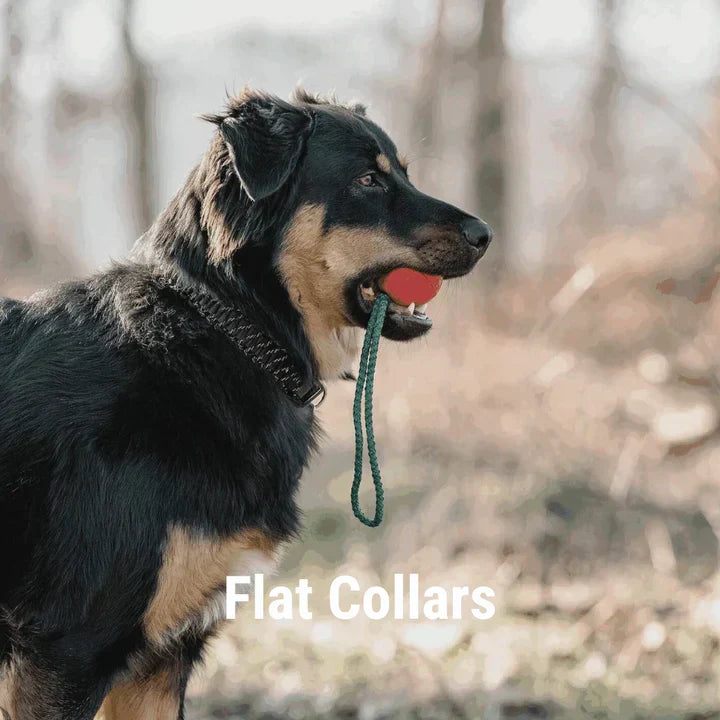 Flat Collars