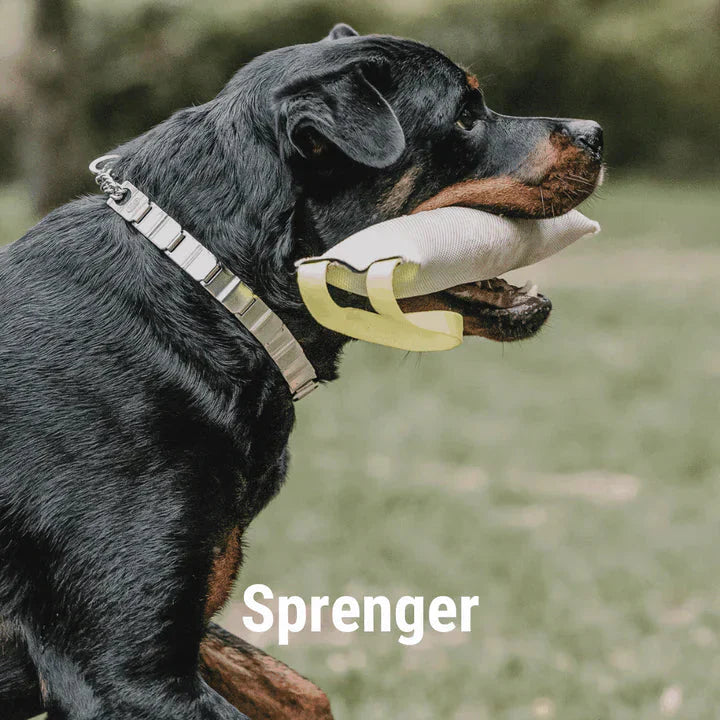 Sprenger