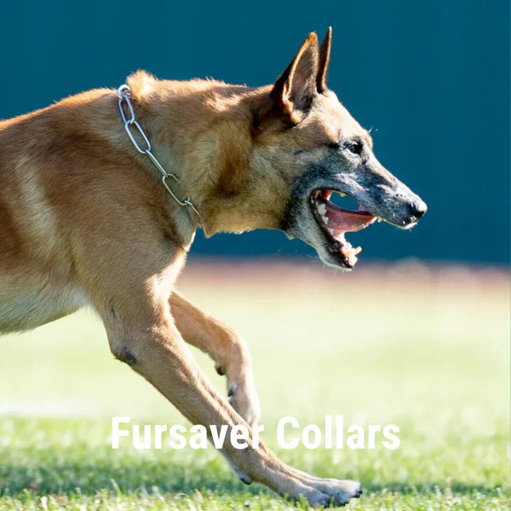 Fursaver Collars