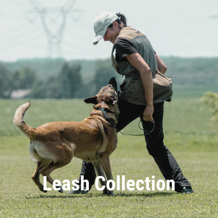 Leash Collection
