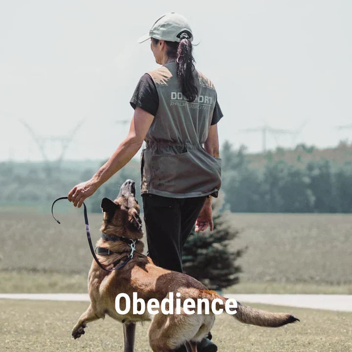 Obedience