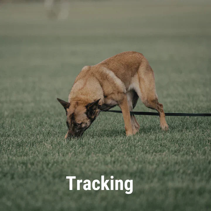 Tracking