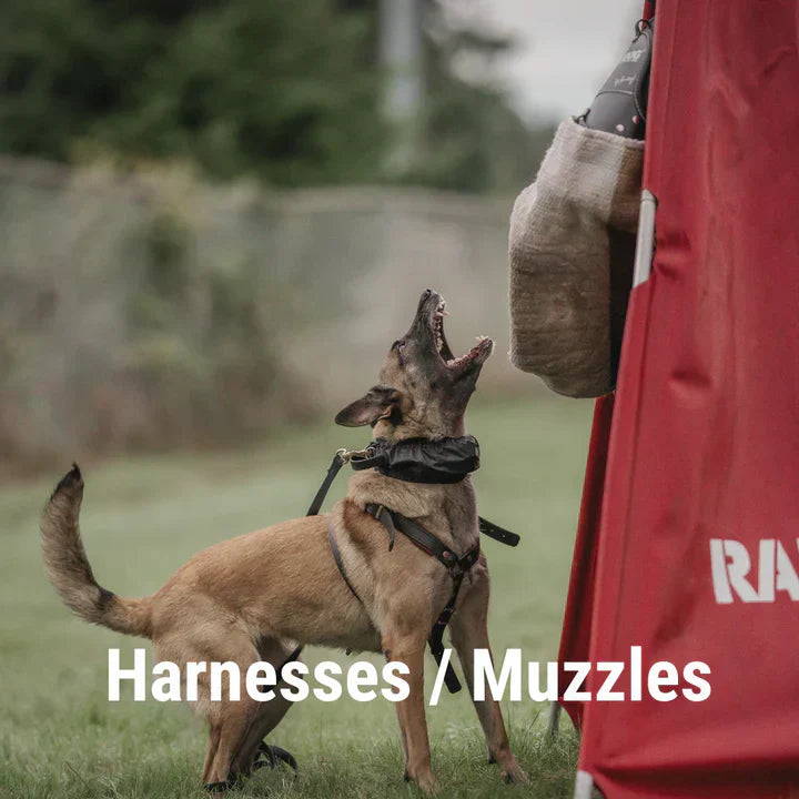 Harnesses and Muzzles
