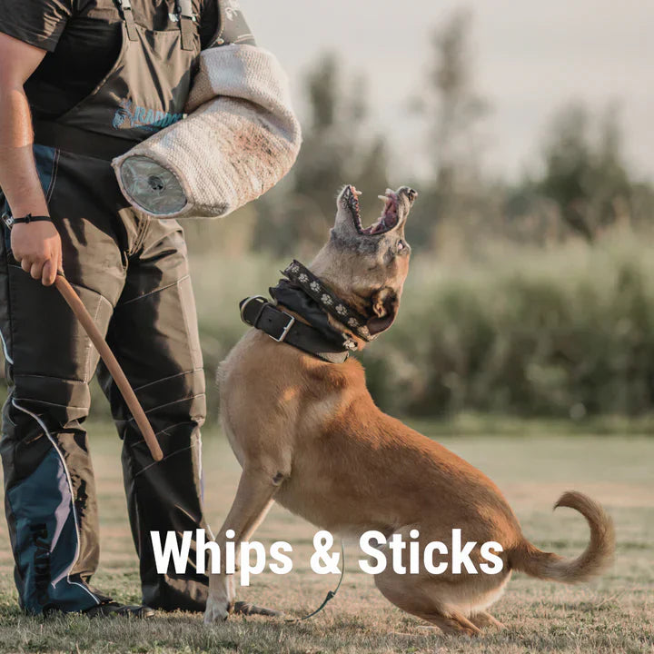 Whips and Sticks