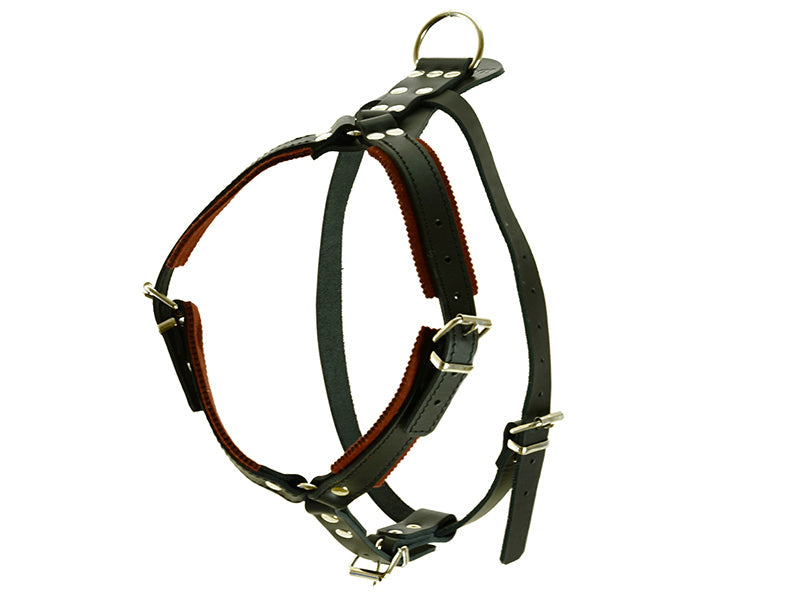 Raddog Quality Leather Harness